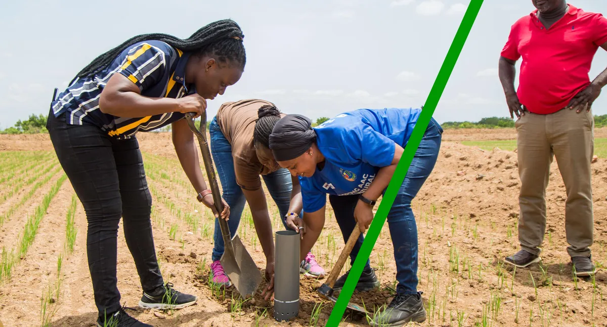 Agricultural Extension Services